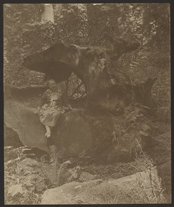  door Louis Fleckenstein