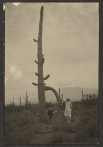 [Vrouw en kind met cactus]