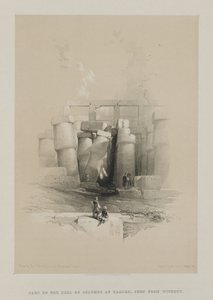 Egypte en Nubië, Deel II: Deel van de zuilenhal in Karnak, Thebe