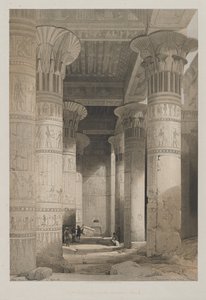 Egypte en Nubië, Deel I: Uitzicht onder de grote portiek van de tempel, Philae door Louis Haghe