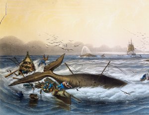 Walvisvangst in Zuidzeeën, kleurenlithografie door Louis Lebreton (overleden 1866)