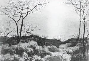 Blauw landschap door Louis Michel Eilshemius