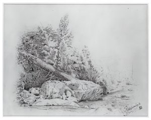 Omgevallen Boom, Keene Valley, 25 juli 1883 door Louis Michel Eilshemius