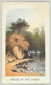 Woonplaats van de Zwanen, uit de serie, Uitzichten in Central Park, New York, Deel 2, 1864 door Louis Prang