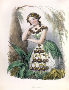 Allegorie , la Myosotis