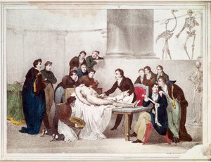 De anatomische les