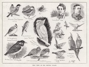 Vogelshow in het Crystal Palace