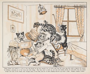 Katten spelen met dozen in een kamer