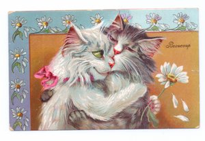 Edwardiaanse ansichtkaart van twee katten die elkaar omhelzen, ca. 1910