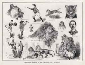 Optredende Dieren op de "World