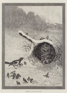 Bezitting is Negen Tienden van de Wet door Louis Wain