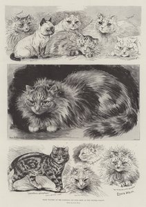 Prijswinnaars op de National Cat Club Show in het Crystal Palace door Louis Wain