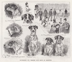 Southdown Fox Terrier Club Show in Brighton door Louis Wain
