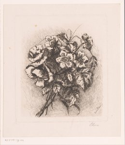 Bloemstilleven met klaprozen en anemonen
