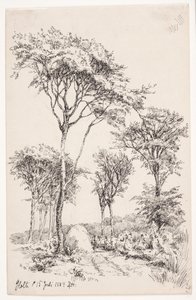 Boslandschap met Vrijstaande Bomen