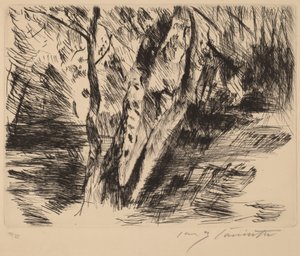 Berkenstammen in de Tiergarten door Lovis Corinth