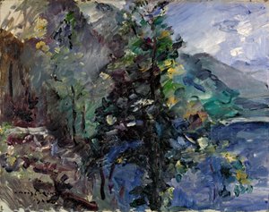 Jochberg bij het meer van Walchensee door Lovis Corinth