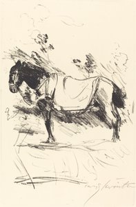 Rijpaard, 1916 door Lovis Corinth
