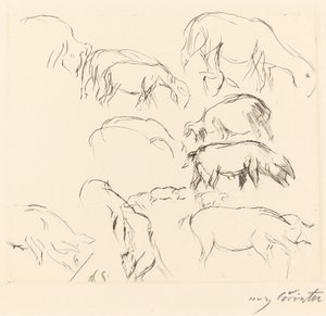 Verschiedene Tierstudien, 1917