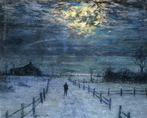 Een Winterse Wandeling