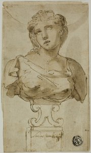 Borstbeeld van een vrouw door Luca Cambiaso