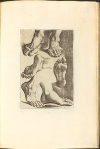 Afdruk uit Tekenboek door Luca Ciamberlano