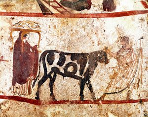 Een stier leidt naar het altaar van het offer. Lucanisch fresco uit de 4e eeuw v.Chr., uit de necropolis van Andriuolo in Paestum, Italië. Museo nazionale archeologico, Paestum door Lucanian School