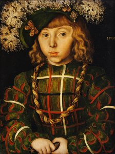 Portret van Johann Friedrich, later keurvorst der Grossmuetige von Saschen, 1509