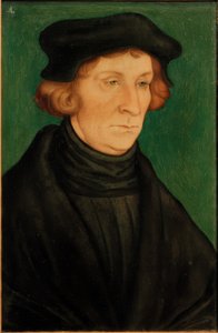 Portret van een geleerde (Otto Brunfels) door Lucas Cranach the Elder