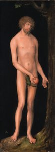 Duits: Adam door Lucas Cranach the Elder