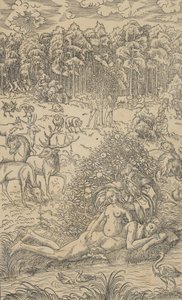 De Schepping van Eva door Lucas Cranach the Younger  