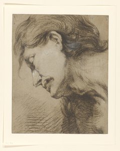 Manskop met lang haar, omlaag kijkend naar links door Lucas Franchoys (attributed to)