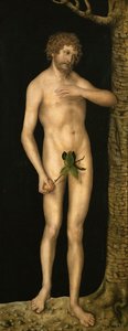 De val van de mens: Adam door Lucas the Elder Cranach