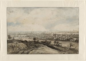 Een panoramisch rivierlandschap met knotwilgen