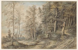 Boslandschap