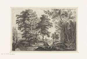 Landschap met een beek door een bos