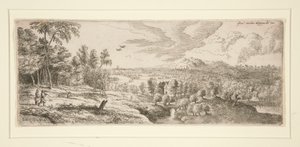 Bos met uitzicht op een rivier