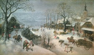 Winterlandschap - februari