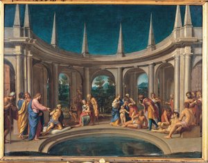 De Probatic Pool door Lucio massari