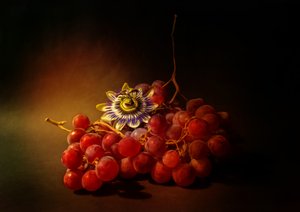  door Ludmila Shumilova