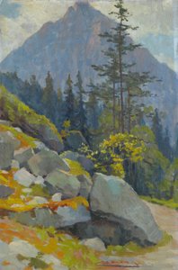 Tatra-gebergte