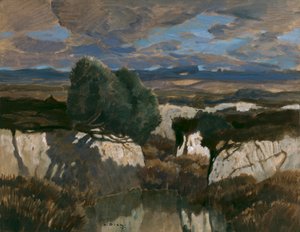 In het witte moeras door Ludwig Dill