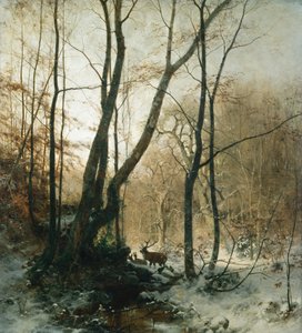 Duitse winter