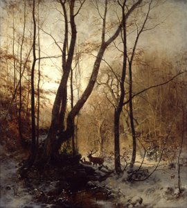 Winter in Duitsland