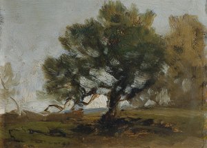 Landschap