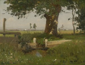 Zomers weidelandschap in Karinthië door Ludwig Willroider