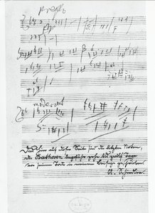 De laatste pagina van muziek geschreven door de Duitse componist Ludwig van Beethoven (1770-1827) door Ludwig van Beethoven