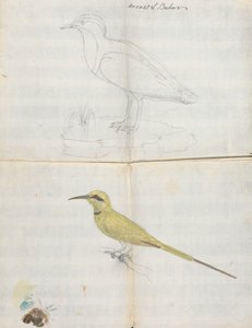 2 vogels "Aroust el Bahar"