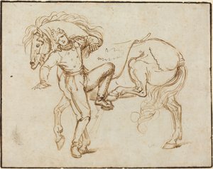 Ruiter die een Paard Beklimt