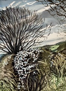 Bloei op het platteland in de winter door Luisa Millicent